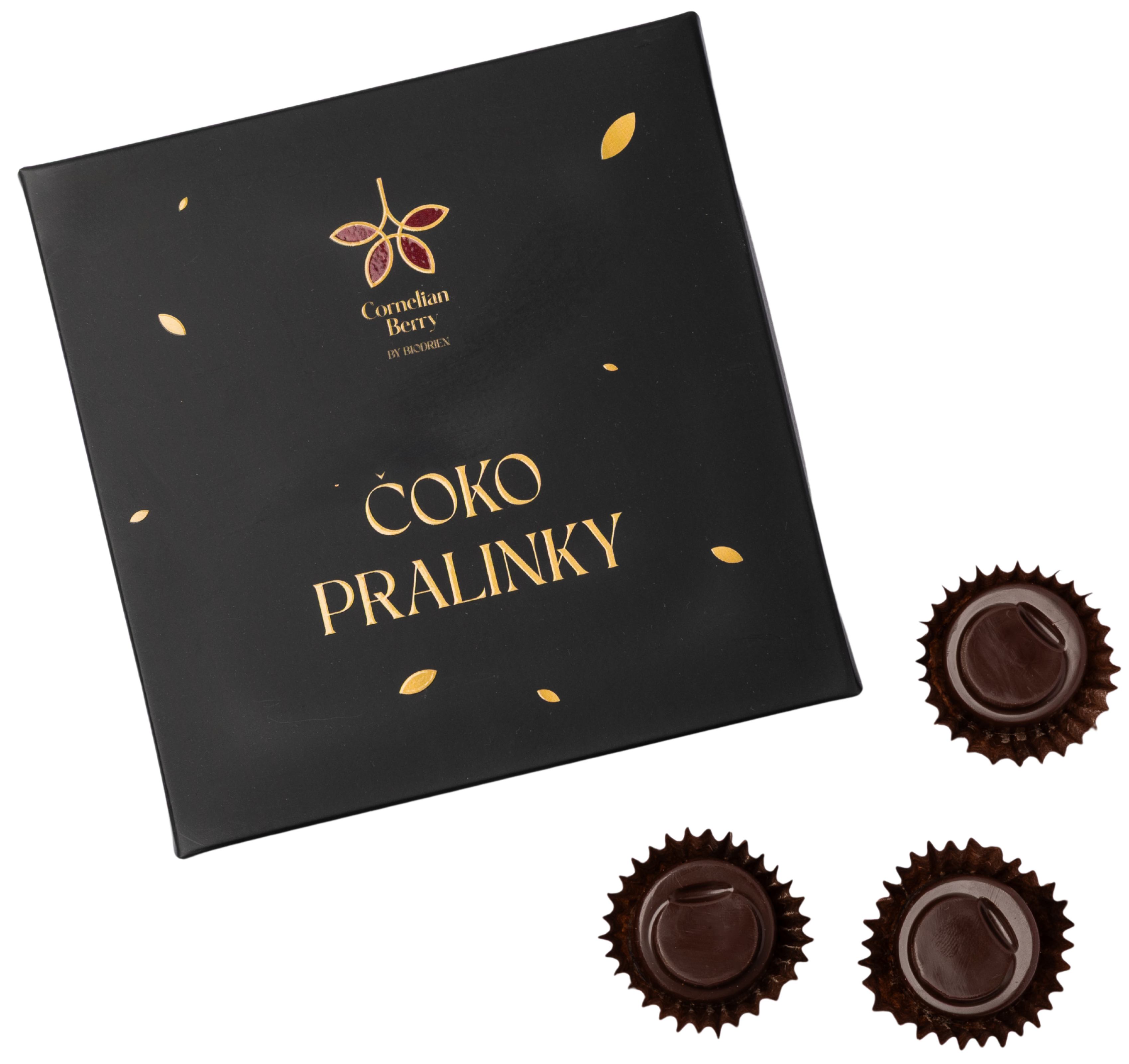 CHOCOLATE PRALINES<br> 
