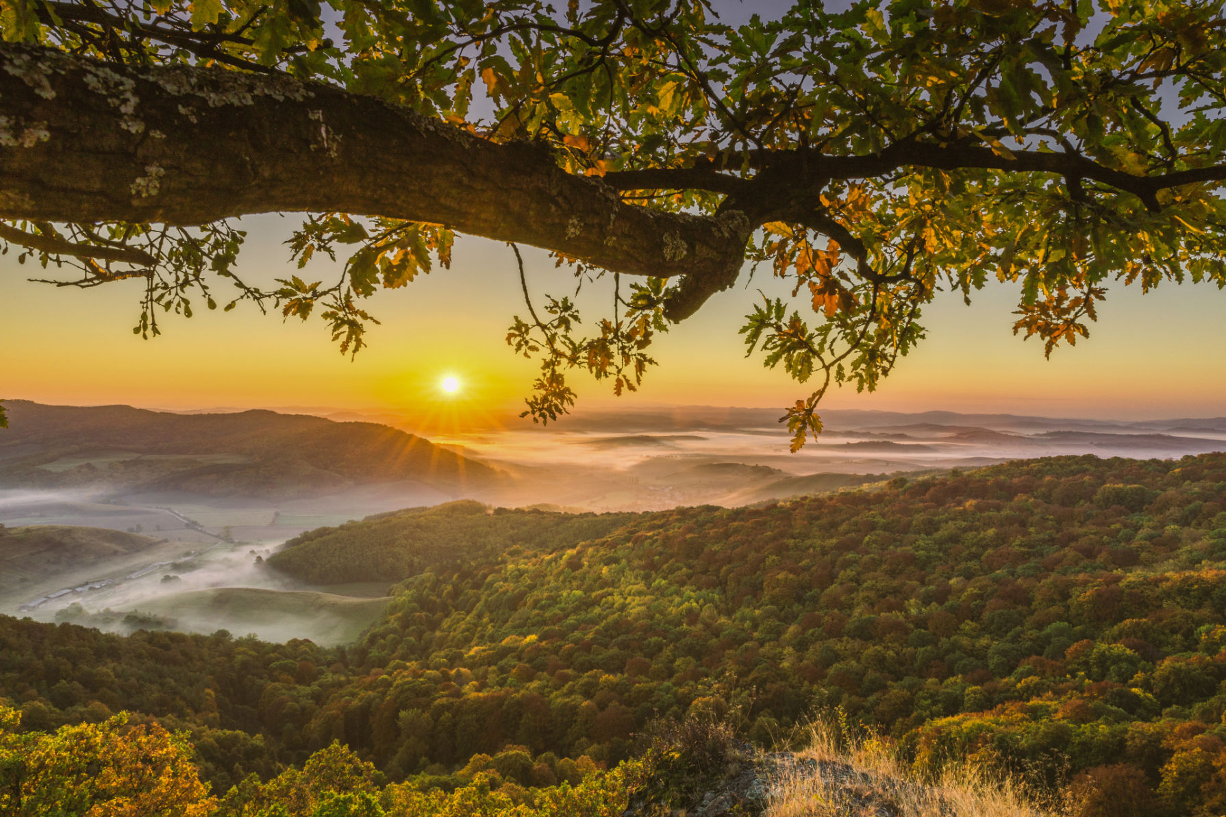 Sunset over nature